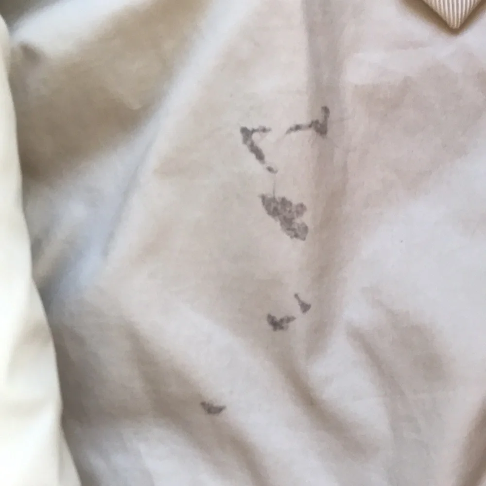 Patagonia Fleece Jacket (size 12-18m)